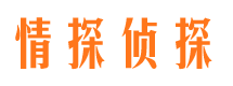 保山婚外情调查